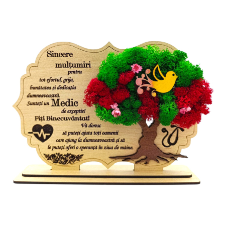 Cadouri Medic/Doctor - Decoratiune tablou cu licheni, cadou personalizat pentru Medic, model 2
