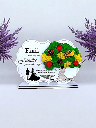 Decoratiuni cu Licheni - Tablou copac cu licheni stabilizati, personalizat cu mesaj standard, cadou pentru Fini, dimensiune 30x20cm