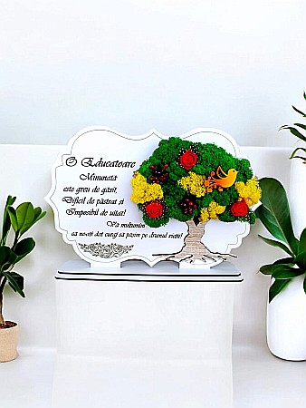 Decoratiuni cu Licheni - Tablou copac cu licheni stabilizati, personalizat cu mesaj standard, cadou pentru Educatoare, dimensiune 30x20cm