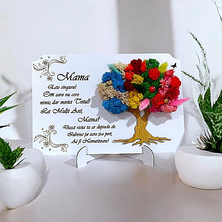 Cadouri Mama - Cadou personalizat pentru Mama - Tablou  licheni 4 anotimpuri