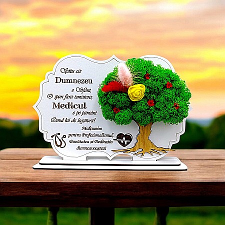 Cadouri Medic/Doctor - Cadou personalizat, Tablou cu mesaj standard pentru Medic/Doctor