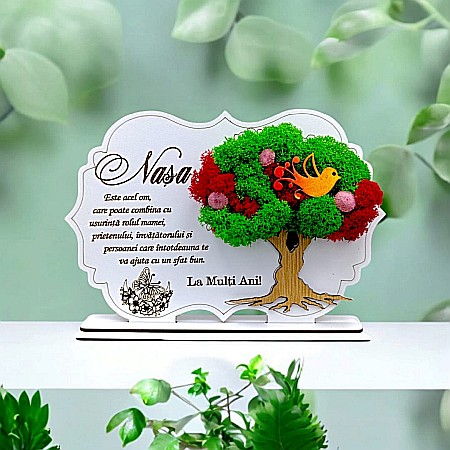 Decoratiuni cu Licheni - Cadou personalizat, Tablou cu mesaj standard pentru Nasa