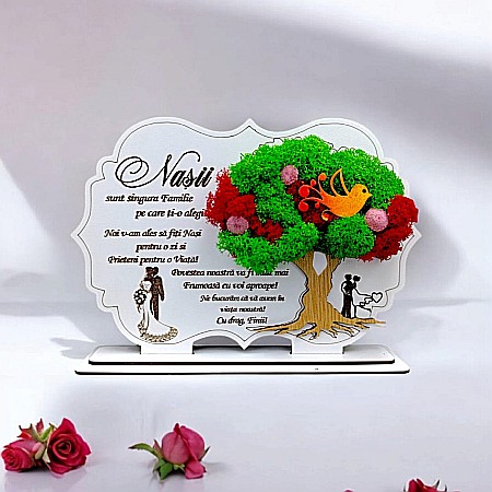 Cadouri Nasa - Cadou personalizat, Tablou cu mesaj standard pentru Nasi/Nasa/Nas