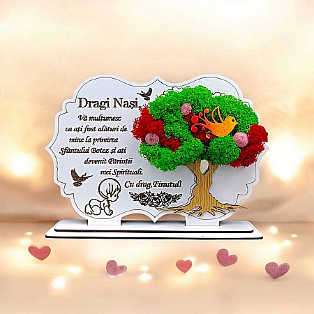 Cadouri Nasa - Cadou personalizat, Tablou cu mesaj standard pentru Nasi/Nasa/Nas, model 3