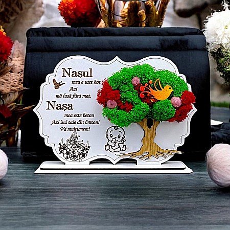 Cadouri Nasa - Cadou personalizat, Tablou cu mesaj standard pentru Nas si Nasa