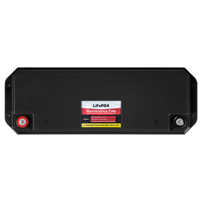 ACUMULATOR LIFEPO4 100AH 25.6V CU BMS VIPOW [3]