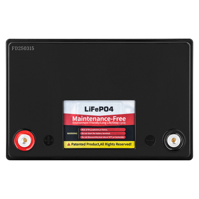 ACUMULATOR LIFEPO4 12.8V 100AH BMS VIPOW [3]