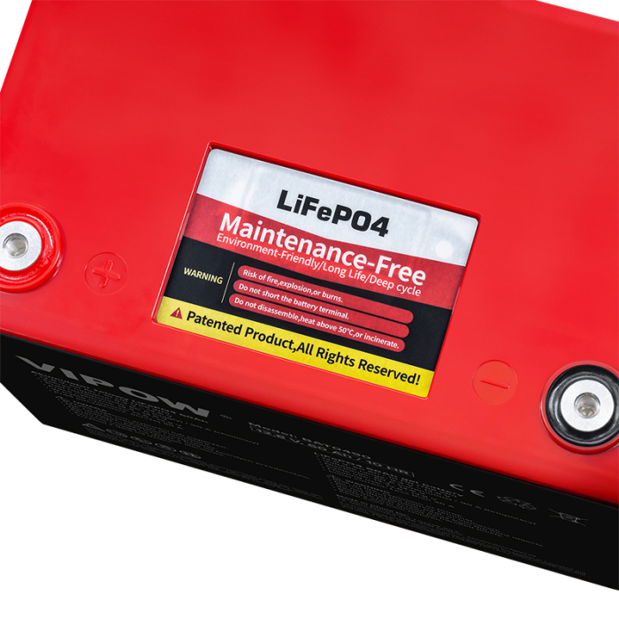 ACUMULATOR LIFEPO4 60AH CU BMS [3]