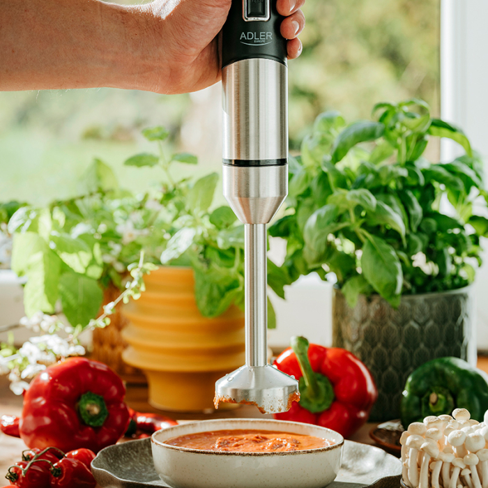 BLENDER MANA 1900W AD 4628 ADLER [12]