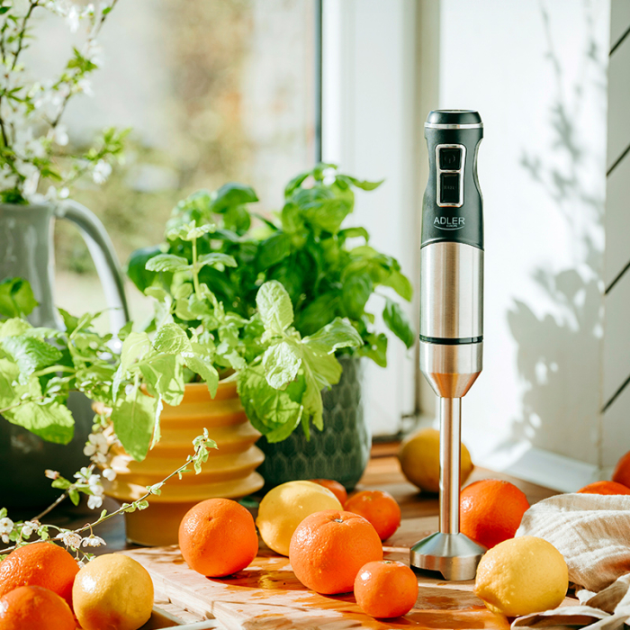 BLENDER MANA 1900W AD 4628 ADLER [3]