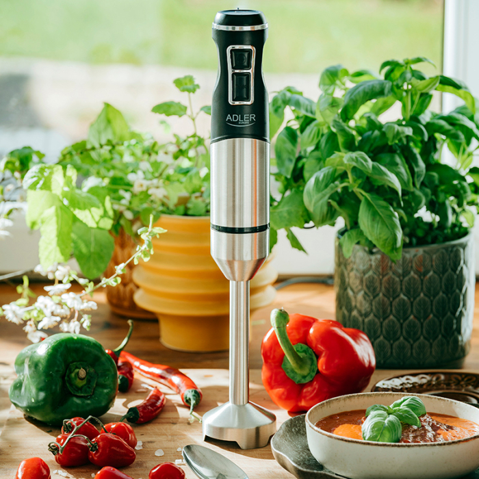 BLENDER MANA 1900W AD 4628 ADLER [11]