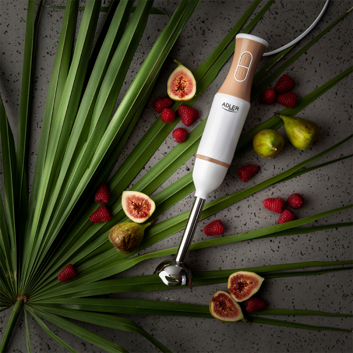 BLENDER MANA 500W AD 4616 ADLER [6]