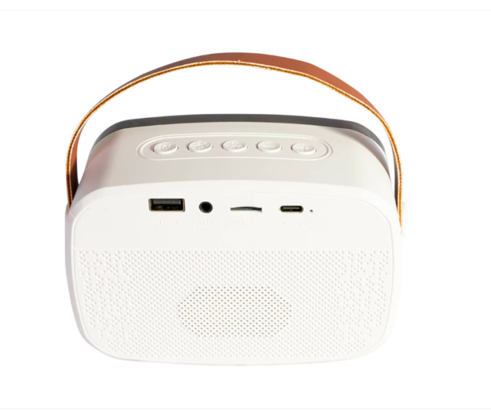 Boxa Portabila Karaoke cu 2 Microfoane Functie BT/USB/TWS [2]