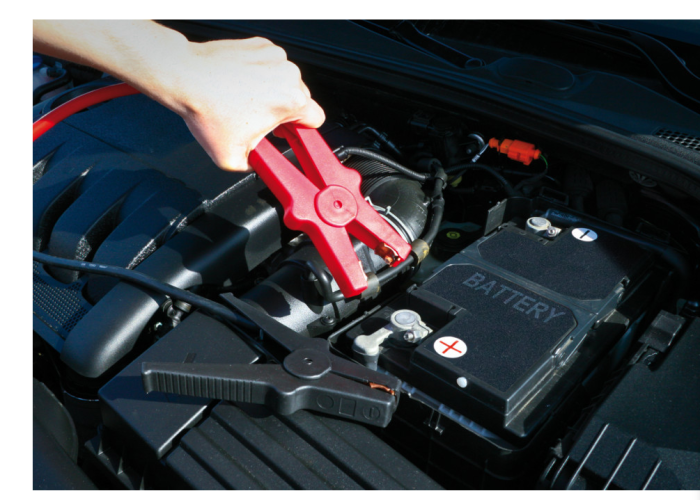 Cabluri de pornire Foton 600A 2,5m, în gentuta [4]