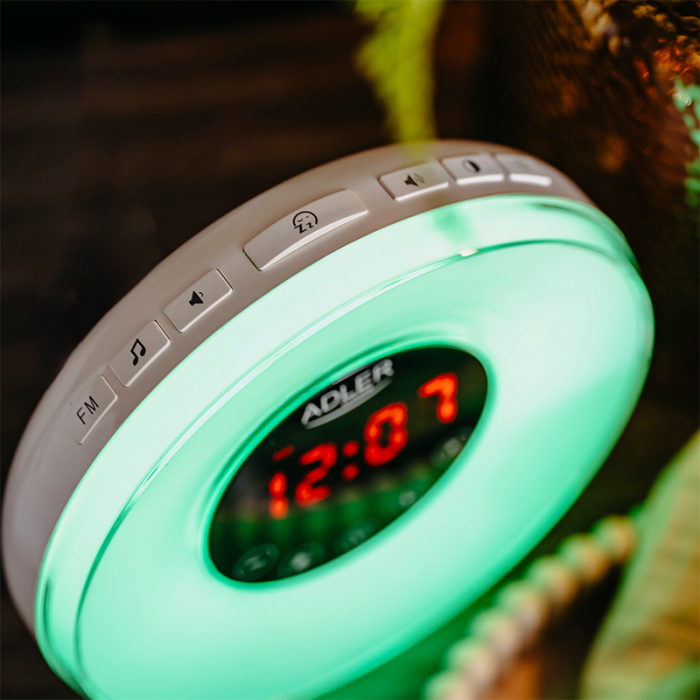 CEAS DESTEPTATOR ALARMA FM RADIO [3]