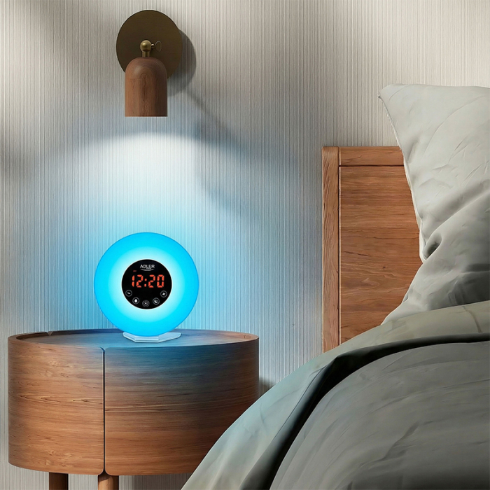 CEAS DESTEPTATOR ALARMA FM RADIO [5]