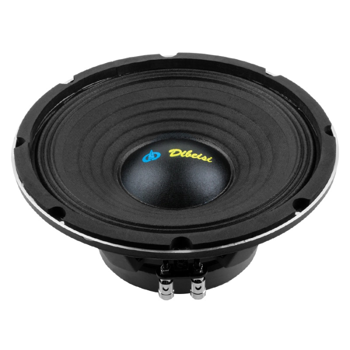 DIFUZOR 10 INCH 8 OHM 200W [2]