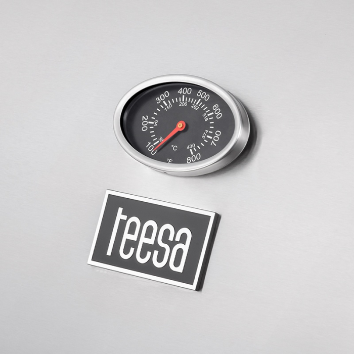 GRILL GAZ 3 ARZATOARE BBQ 3001 MASTER GRILL TEESA [10]