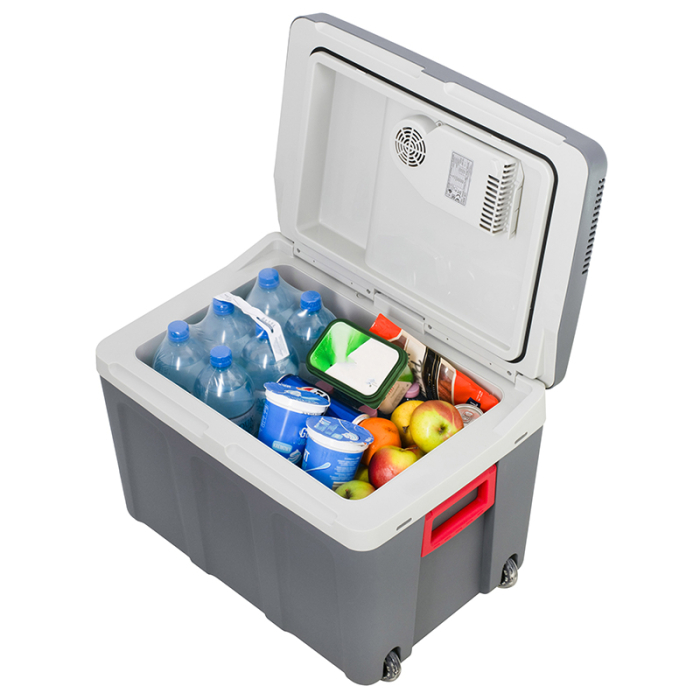 LADA FRIGORIFICA TROLER 40L CR 8093 CAMRY [3]