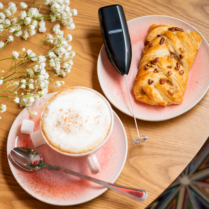 MILK FROTHER MANUAL MESKO [8]