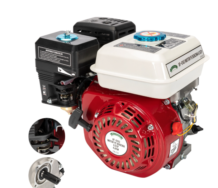 Motor pe benzina 6,5HP [5]