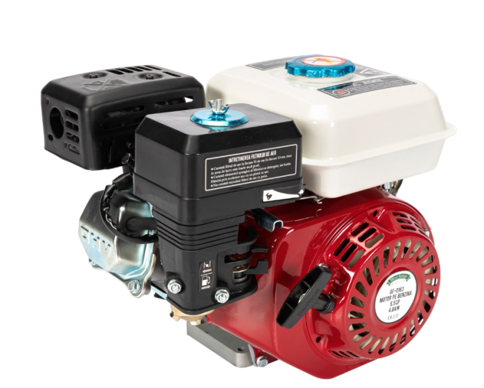 Motor pe benzina 6,5HP [3]