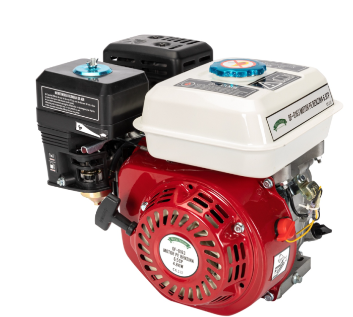 Motor pe benzina 6,5HP [2]