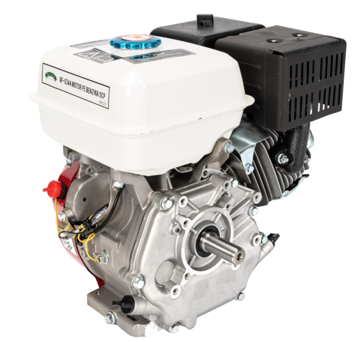 Motor pe benzina 9HP [4]