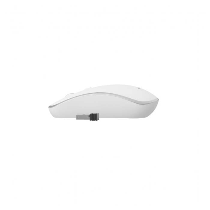 MOUSE WIRELESS 1600DPI USB GEMBIRD [4]