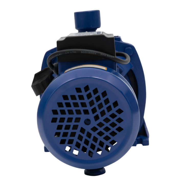 Pompa apa suprafata CPM158 (Lazio mare) MF [4]