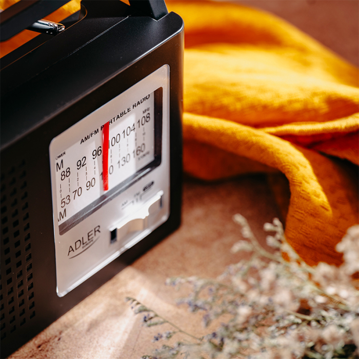 RADIO AM FM AD 1909 ADLER [3]