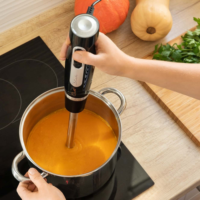 SET BLENDER DE MANA 2 VITEZE 800 W [3]