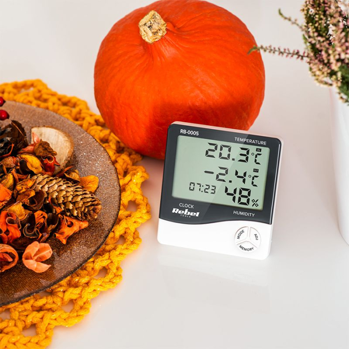 STATIE METEO REBEL [7]