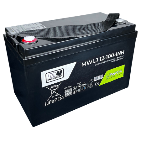 ACUMULATOR LIFEPO4 12.8V 100AH BLUETOOTH [1]