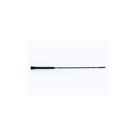 SISTEME ELECTRICE - ANTENA