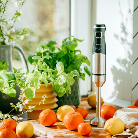 BLENDER MANA 1900W AD 4628 ADLER [2]