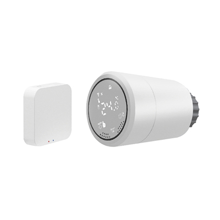 Smart - CAP TERMOSTAT SMART GATEWAY ISNATCH