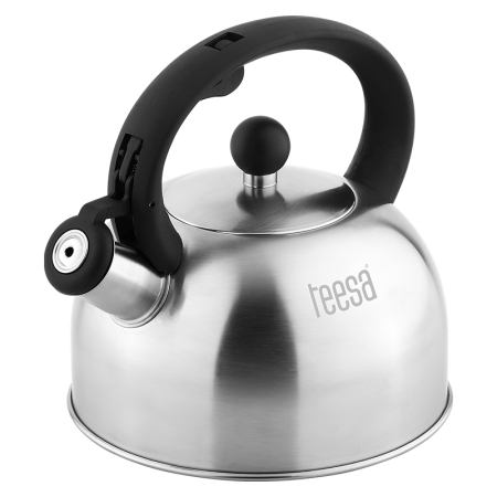 CEAINIC CU FLUIER OTEL 2L TEESA [1]