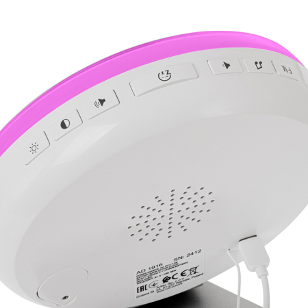 CEAS DESTEPTATOR ALARMA FM RADIO [11]