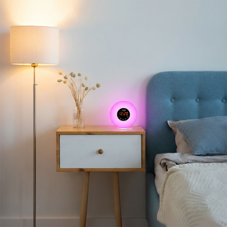 CEAS DESTEPTATOR ALARMA FM RADIO [6]