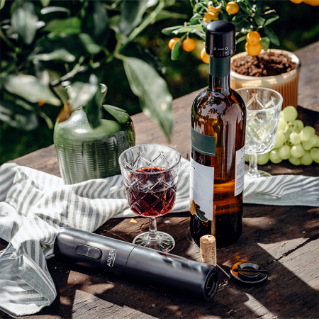 DESFACATOR VINURI ELECTRIC [4]