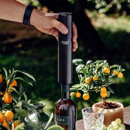 DESFACATOR VINURI ELECTRIC [5]