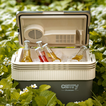 LADA FRIGORIFICA PORTABILA 21L CAMRY [4]