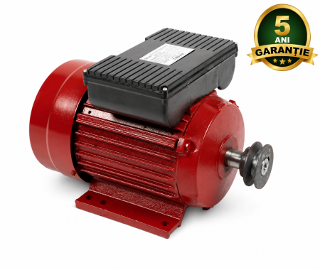 Motoare Electrice și Termice - Motor electric Micul Fermier 2.2KW, 3000 rpm, carcasa fonta