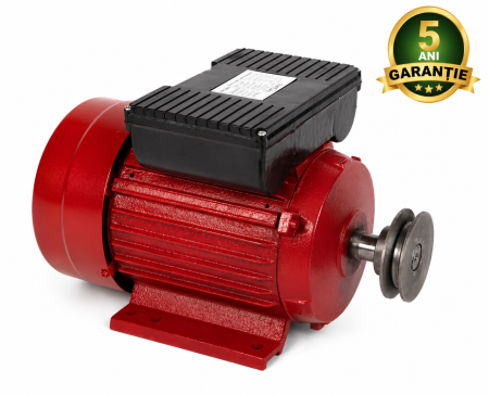 Motoare Electrice și Termice - Motor electric Micul Fermier 3KW, 3000 rpm, carcasa fonta