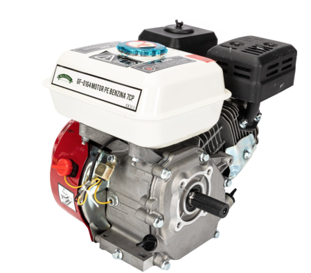 Motor pe benzina 7,0HP [3]