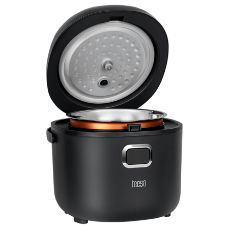 MULTICOOKER APARAT GATIT OREZ 2L 12-24V / 230V TEESA [7]