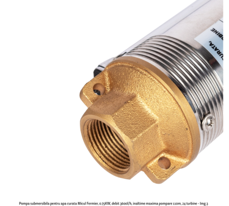 Pompa submersibila pentru apa curata Micul Fermier, 0.75KW, debit 3600l/h, inaltime maxima pompare 110m, 24 turbine [2]