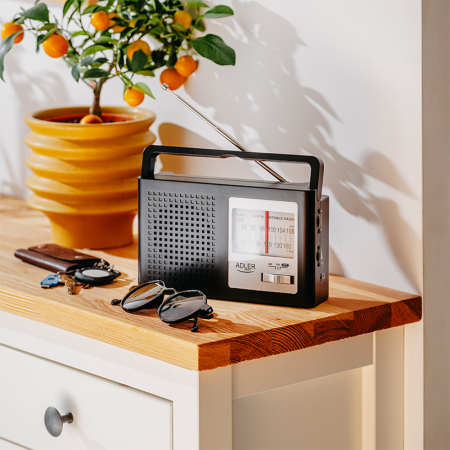 RADIO AM FM AD 1909 ADLER [10]