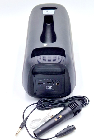 RADIO BOXA BT 2427 [2]